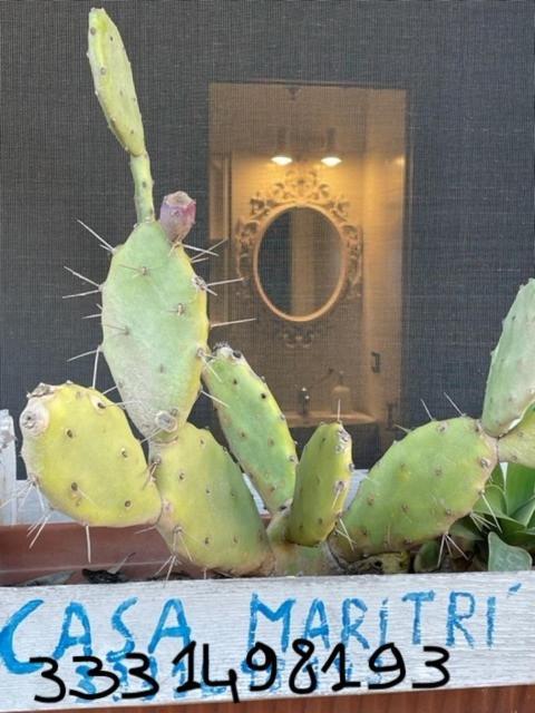 Casa Maritri Locazione Turistica Otel Marzamemi Dış mekan fotoğraf