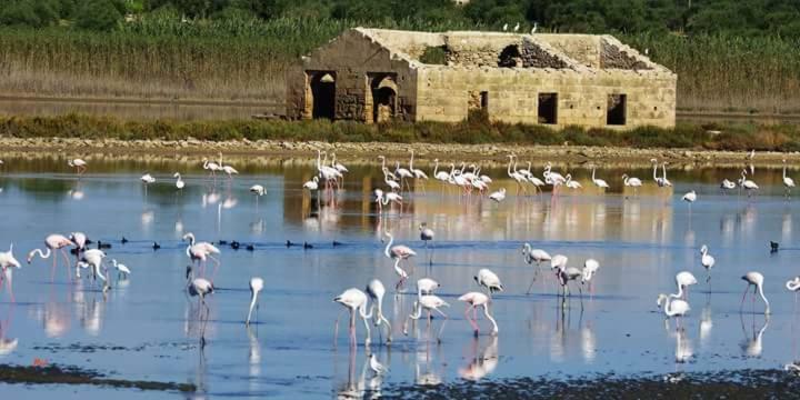 Casa Maritri Locazione Turistica Otel Marzamemi Dış mekan fotoğraf